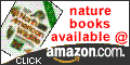 Amazon.com