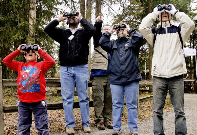 birders in Alaska using binoculars; image courtesy of US Fish and Wildlife Service