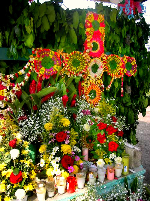 Ceremonial use of Frangipani flowers