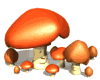 smiling mushrooms