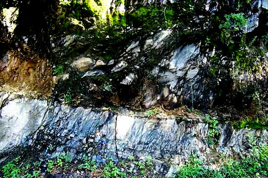fault