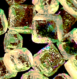 salt crystals; image by Dale Denham-Logsdon