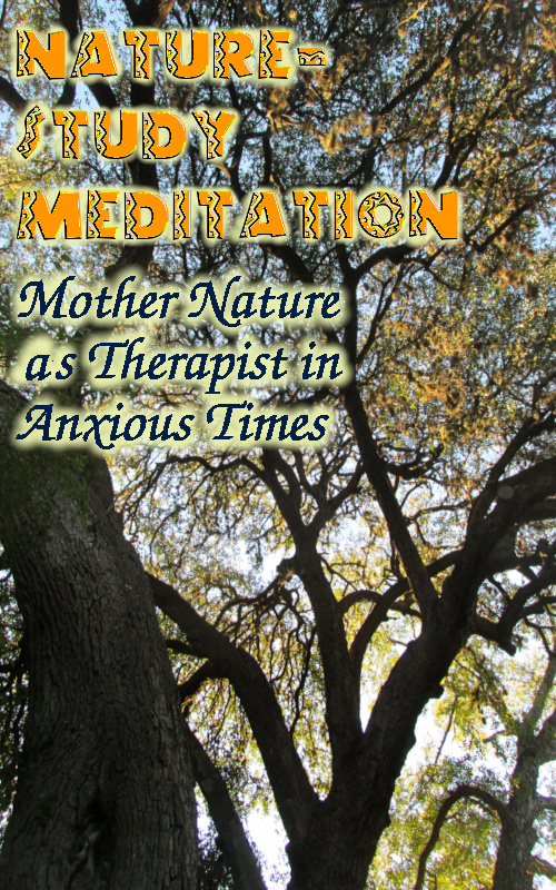 Title: Nature-Study Meditation: Mother Nature As Therapist in Anxious Times