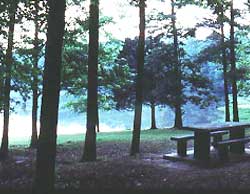 picnic area beside lake