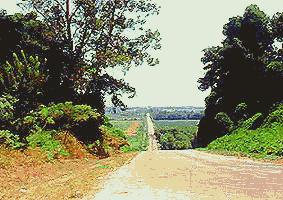 from the bluff into the Mississippi Delta lowlands