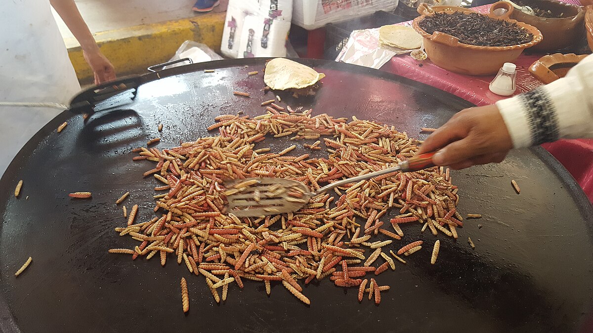 Taco with bits of beef and nopalitos,or sliced nopal cactus