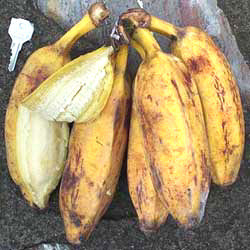 plátano de bolsa