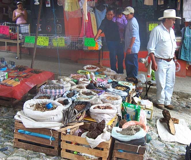 Medicinal herbs sold in Jalpan, Querétaro