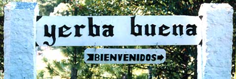 Bienvenidos a Yerba Buena