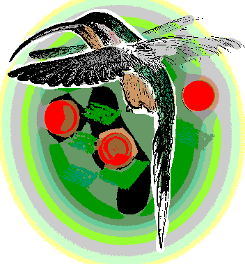 Long-tailed Hermit, Phaethornis superciliosus