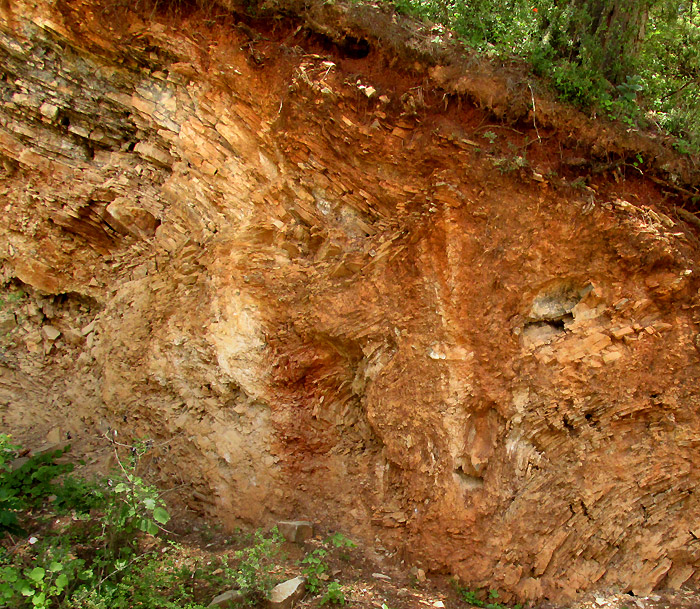 quarry wall showing fault perpendicular to the main thrust fault zone