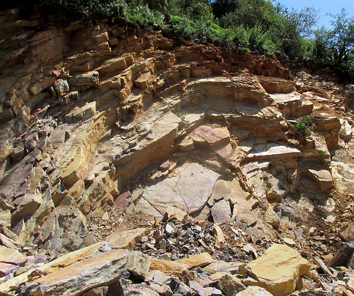 quarry wall revealing Tamabra Formation mudstone outcrops