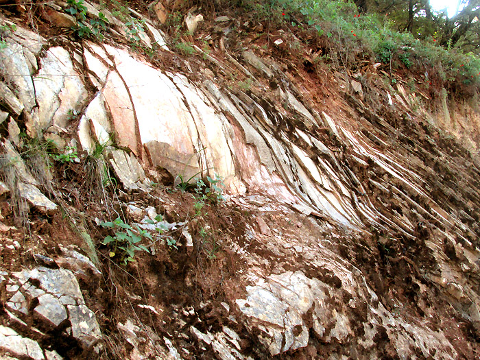 Tamabra Formation curvy-flowing layers of mudstone