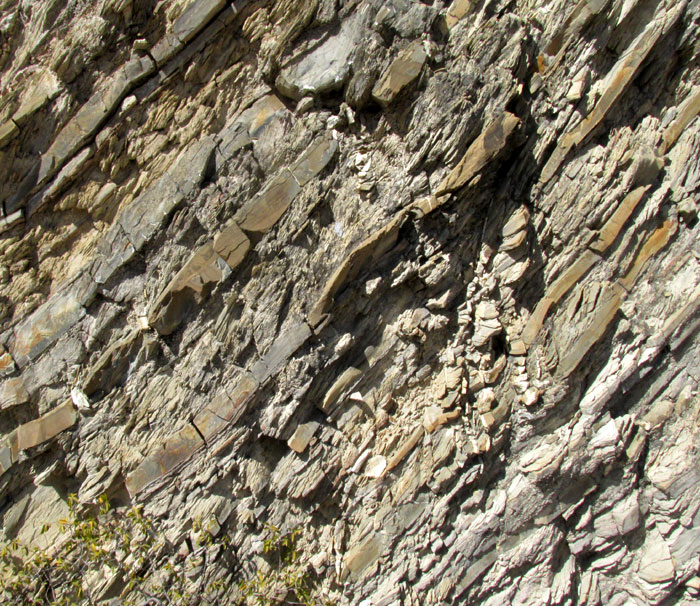 close-up of chevron fold strata in Soyatal-Mezcala Formation in roadcut beside Hwy 120 1km south of Camargo, Querétaro