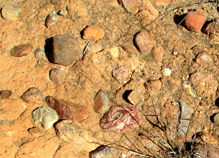brecciated tuff close-up showing various rock types