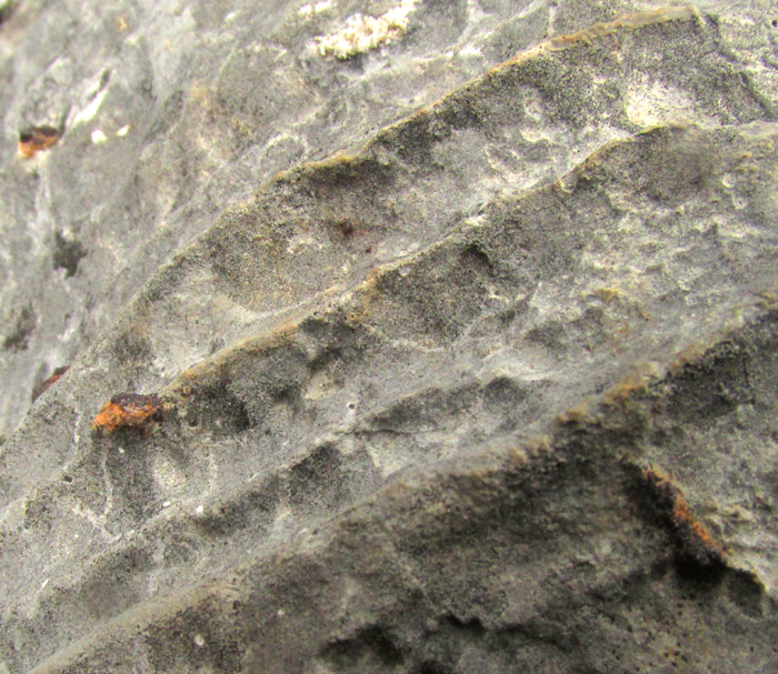 close-up showing grainiess among ripple ventifacts in late Jurassic/early Jurassic El Doctor Formation greywacke
