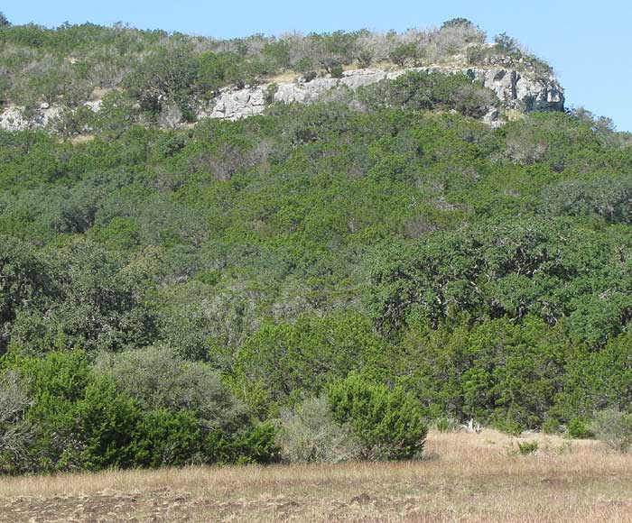EDWARDS PLATEAU: limestone-capped hills