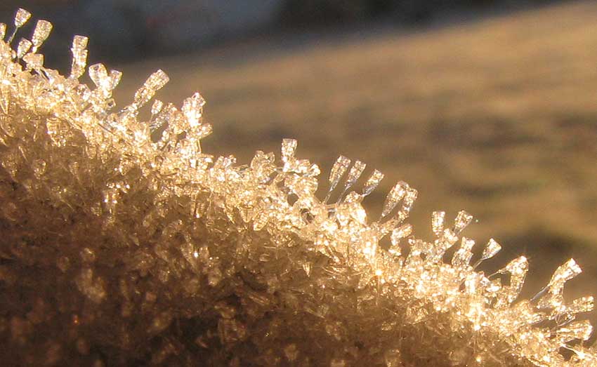 close-up of frost crystals on a fencepost
