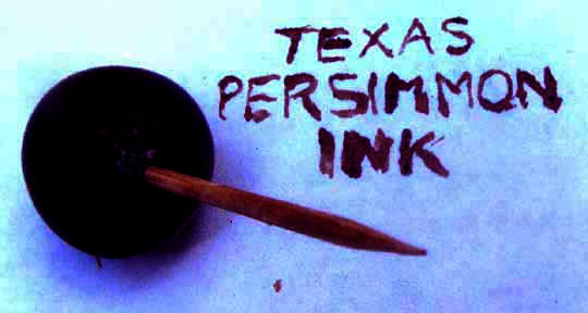 ink/ dye made with Texas Persimmon, DIOSPYROS TEXANA