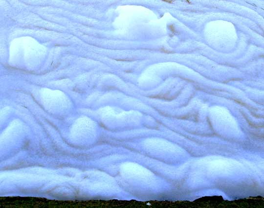 sea foam designs