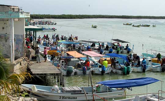 boats in Río Lagartos returning with sea cucumbers