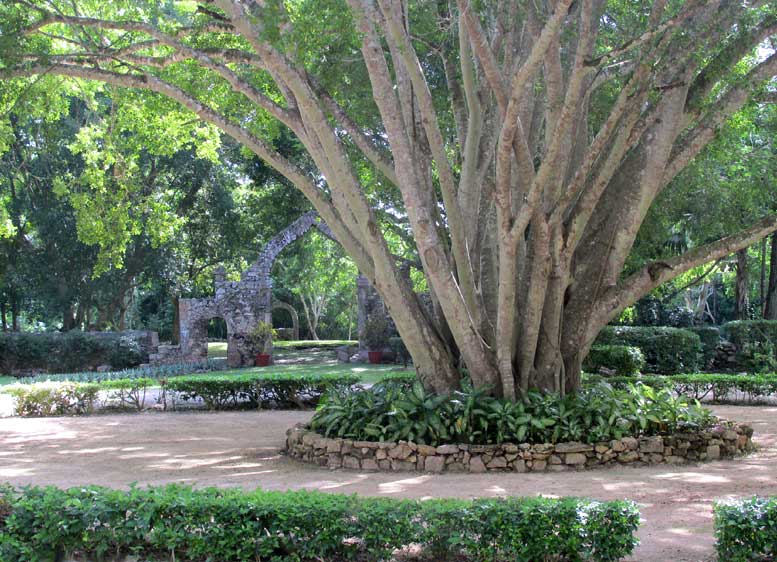Hacienda Chichen, view from front veranda