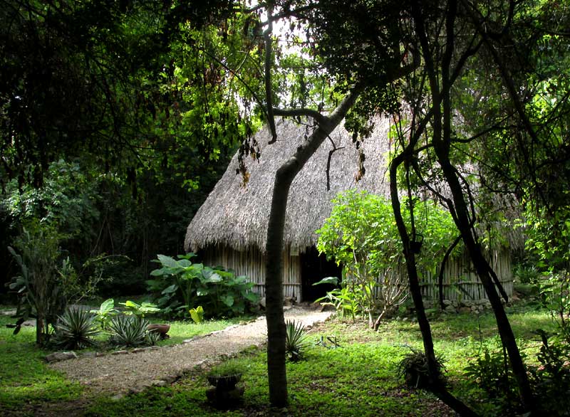 Hacienda Chichen, naturalist's hut, home of Jim Conrad
