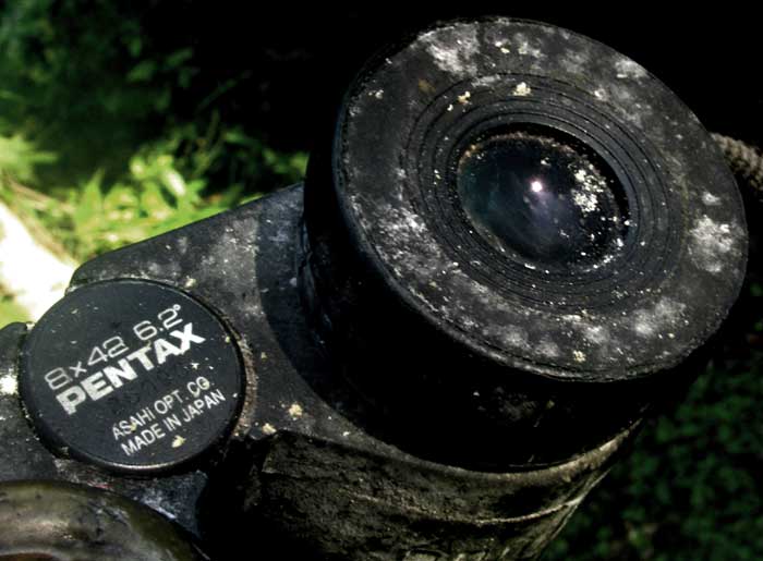 moldy binoculars