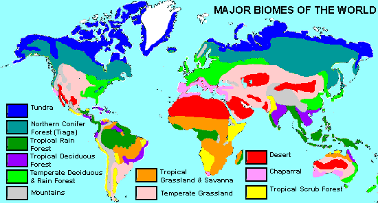 World Biomes Map