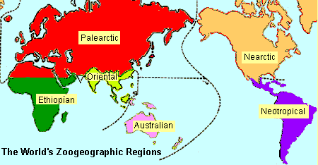 This map of the 'zoogeographic regions of the world' was prepared by Jim Conrad and based on a black-and-white map in John K. Terres' 'The Audubon Society Encyclopedia of North American Birds,' published by Alfred A. Knopf, New York, 1980