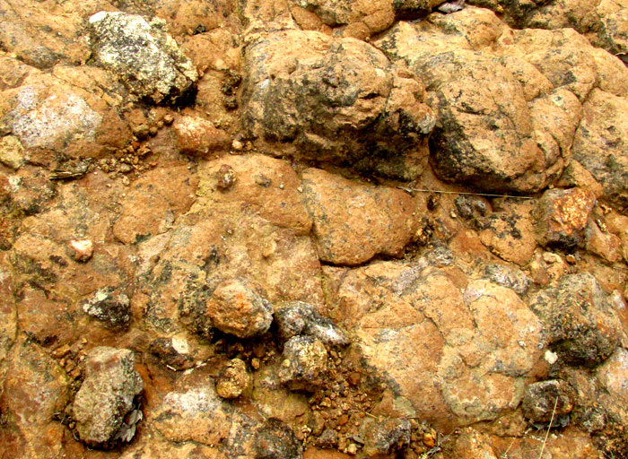 Outcropping bed of andesitic ignimbrite, rounded rocks presumably formed in place atop polygonal columns