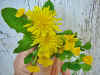 Fingertip Bouquet in Golden Yellow