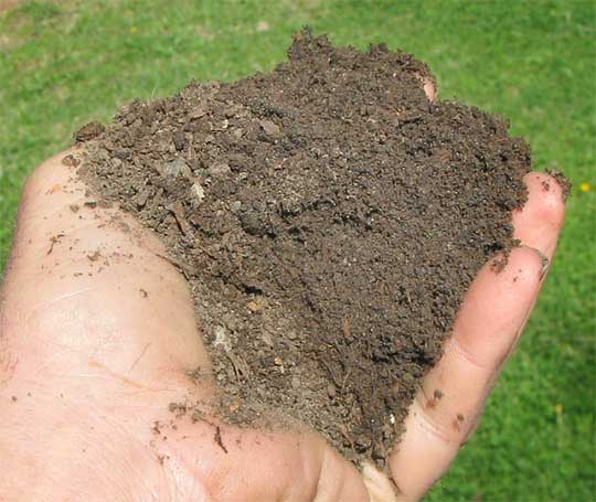 good garden soil