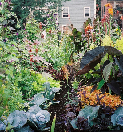 pretty garden; image courtesy of 'GearedBull' and Wikimedia Commons
