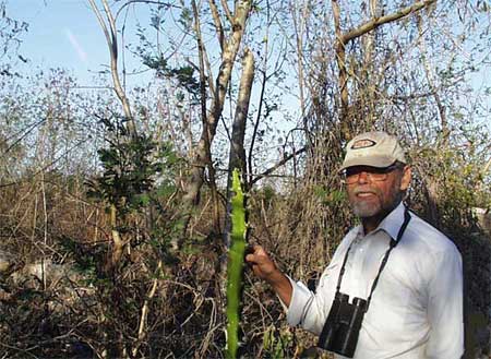 Jim Conrad in a Yucatan forest
