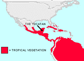 the tropics in Middle America