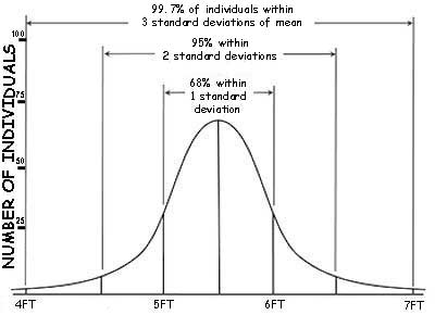 Bell Curve