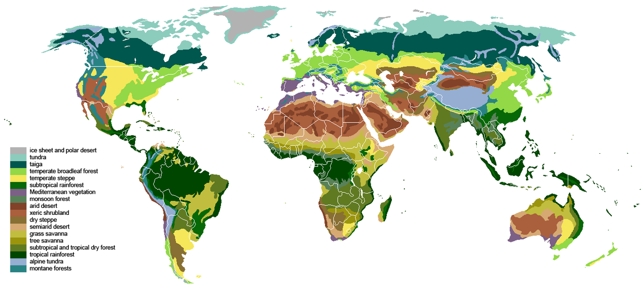 Main biomes of the world, drawn by Ville Koistinen