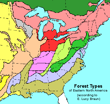 Forest Types of Eastern North America. Map prepared by Jim Conrad from a black-and-white original in E. Lucy Braun's book Deciduous Forests of Eastern North America, published by Hafner Publishing Company, New York & London, 1967.