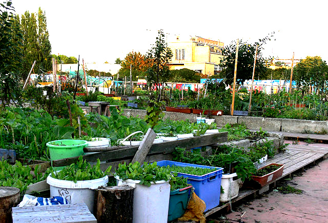 urban gardening